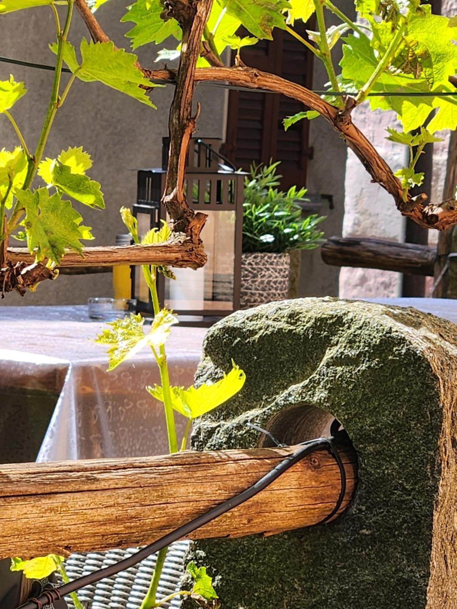 B&B Osteria Morganti Someo 外观 照片